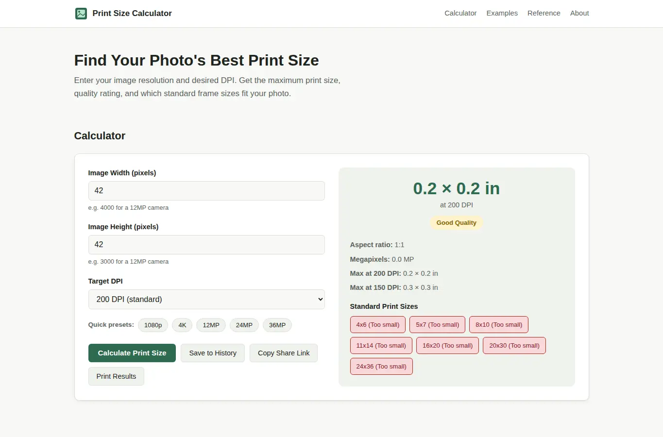 Screenshot of Photo Print Size Calculator interface showing the project page in use